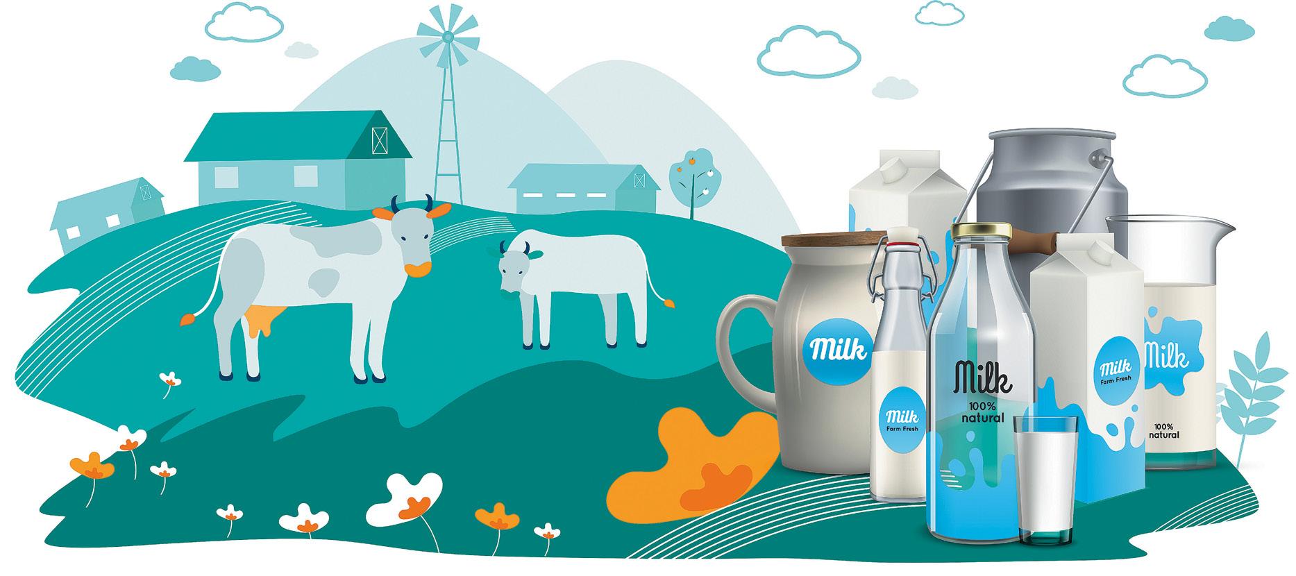 Dairy Divide